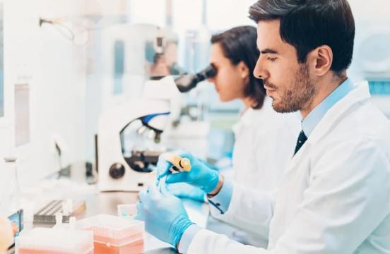 עוזר עסקי למידע מאובטח